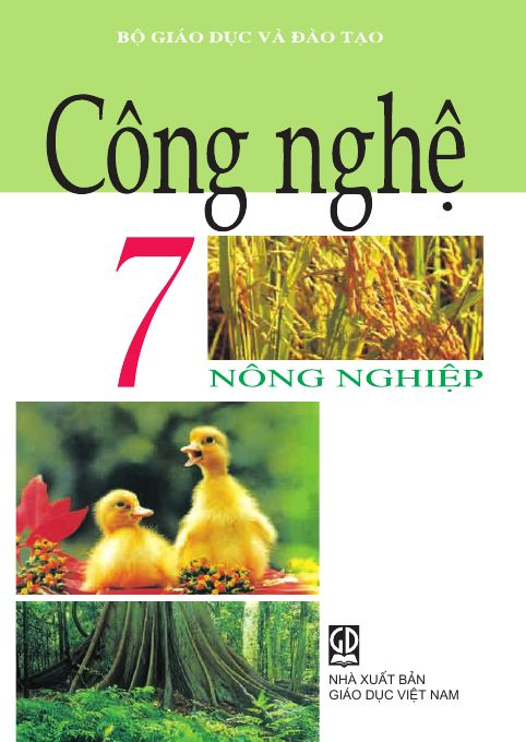 CTST  Bai 3 Quy trình chồng trọt